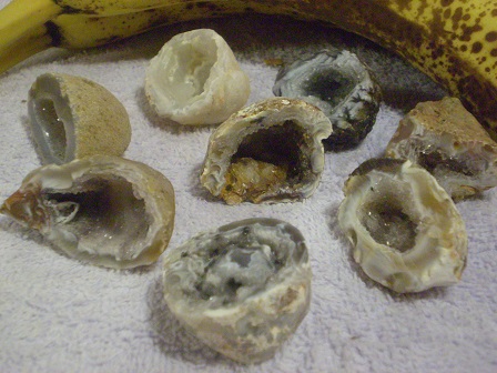 Occo geodes, split in half, polished, about 1.5 inch diameter